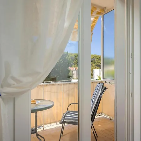 Kumquat - Zf Hvar * 흐바르